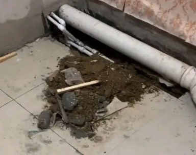 聊城市卫生间漏水检测哪家好